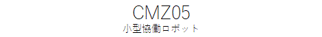 ^{bg CMZ05