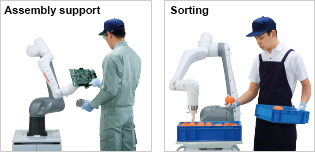 Assembly support, Sorting