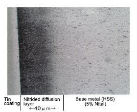 cross section metallographic structure of nitriding sample